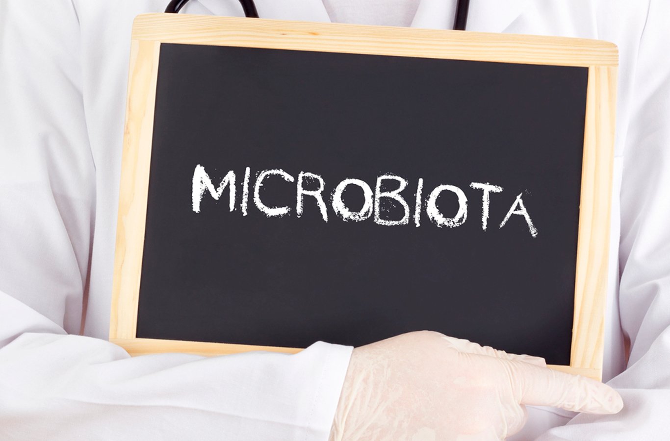 tablero microbios